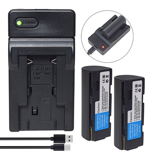 Batteria caricabatterie - 2x,